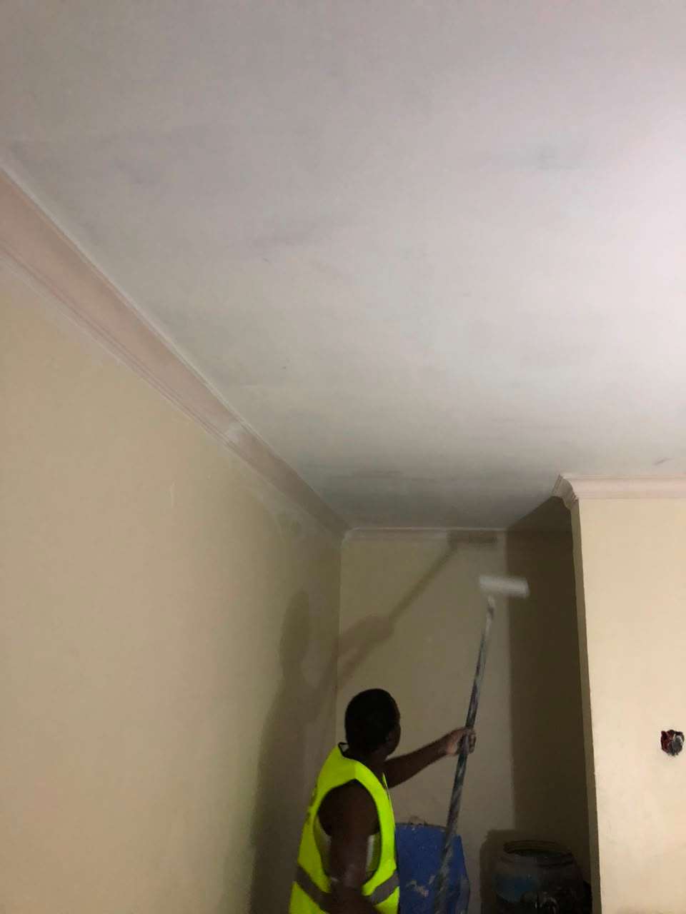 High-Performance Painting & Decorative Finishes