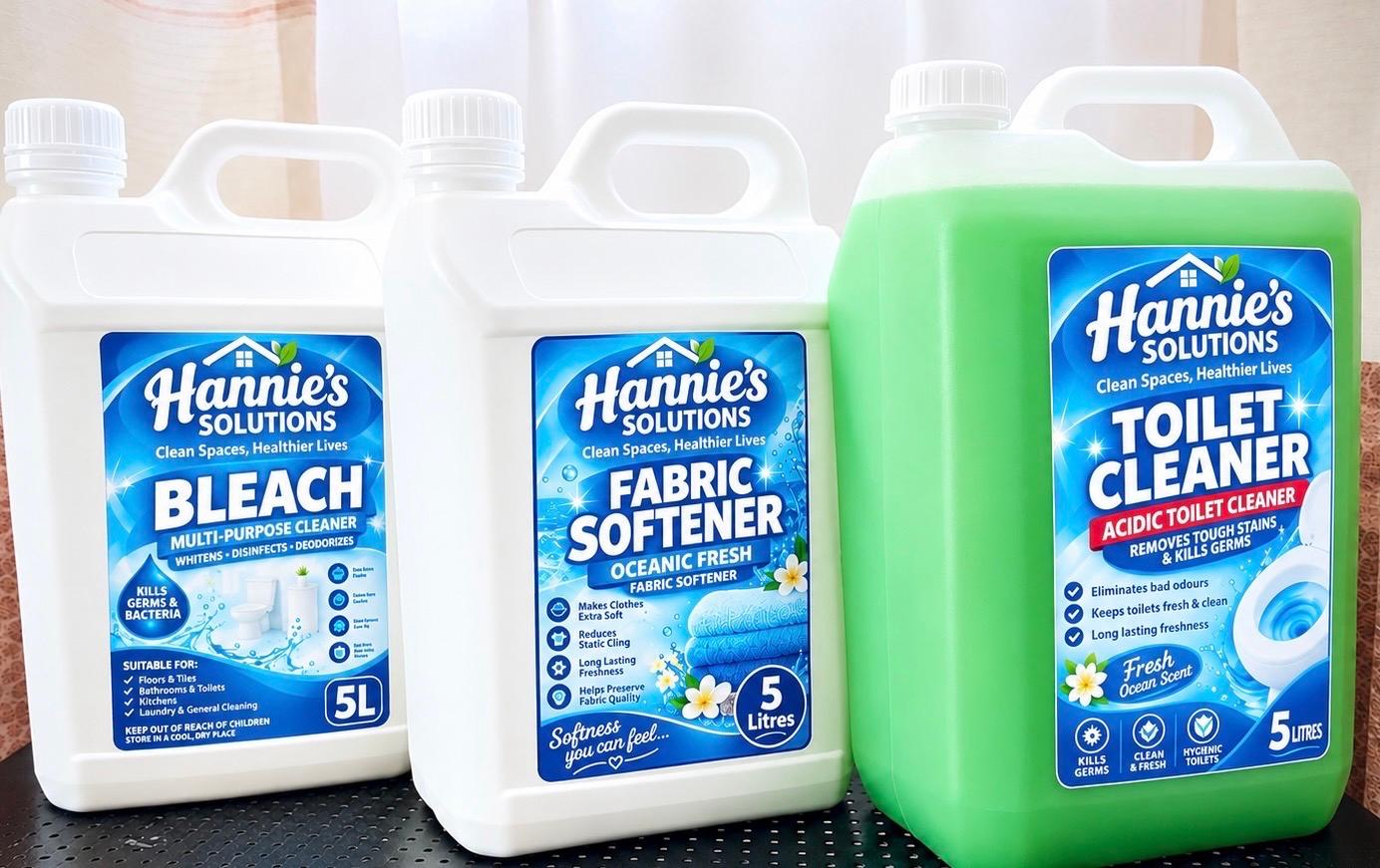 vivid clean by Hannie’s Solutions