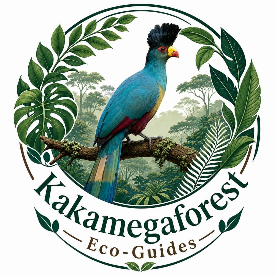Kakamega Forest Eco-Guides